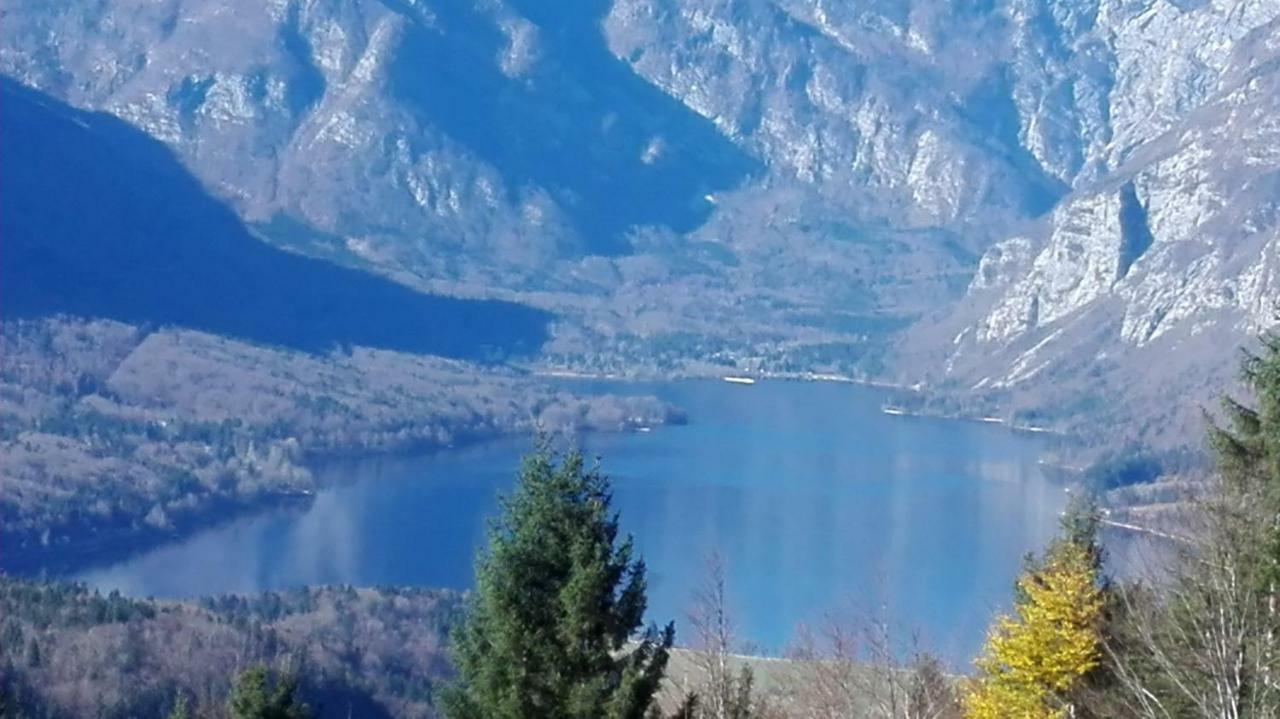 Apartmaji Korosec Na Koprivniku Apartment Koprivnik v Bohinju Екстериор снимка